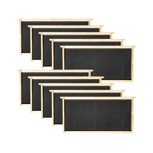 Langstroth Deep Brood Frames & Wax-Coated Foundations Kit – Multipack Options Available