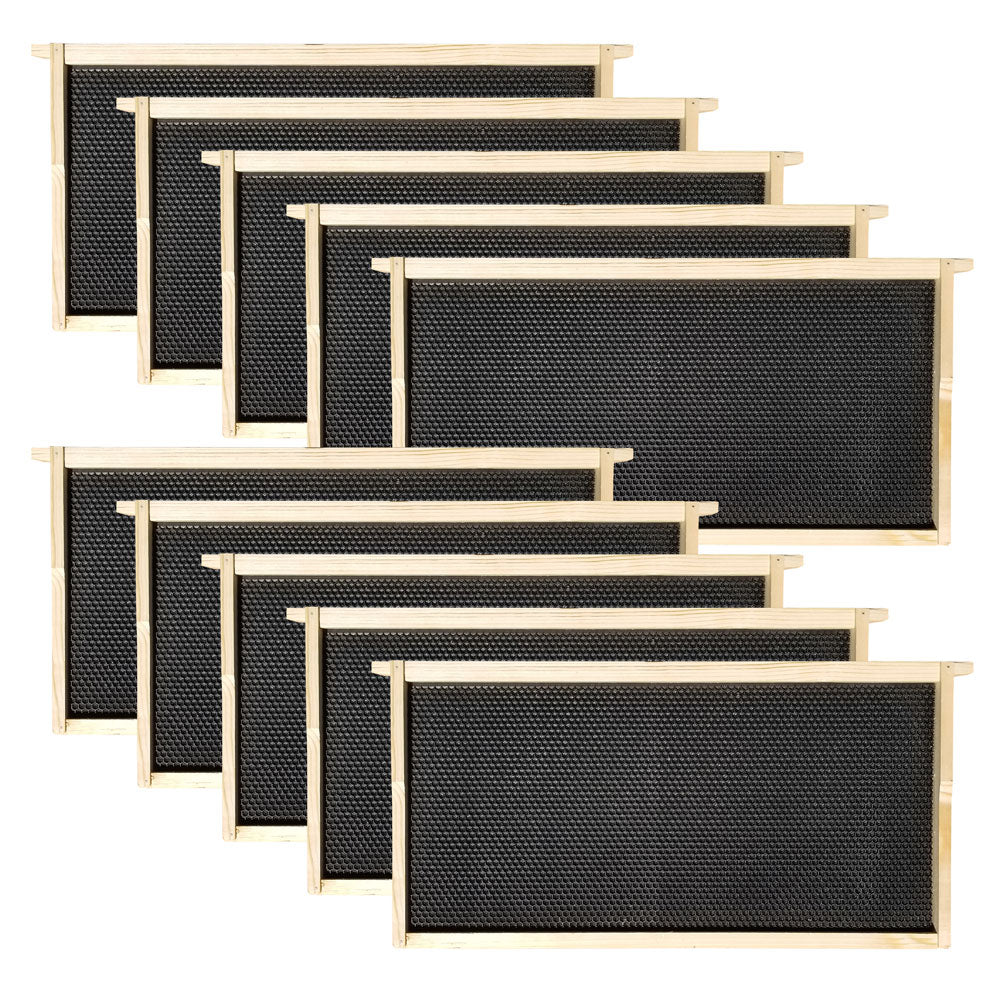 Wax-Coated 10 Frame Beehive - (1)Deep & (4)Mediums