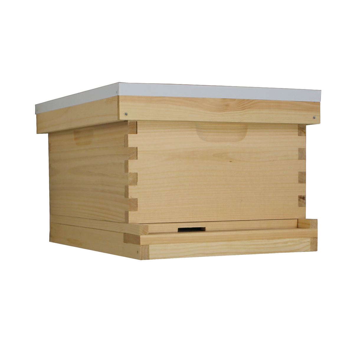 Busy Bees ‘N’ More 10-Frame Beehive Starter Kit – Nuc Ready