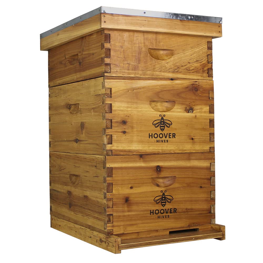 Wax-Coated 10 Frame Beehive - (2)Deeps & (1)Medium (Fully Assembled)
