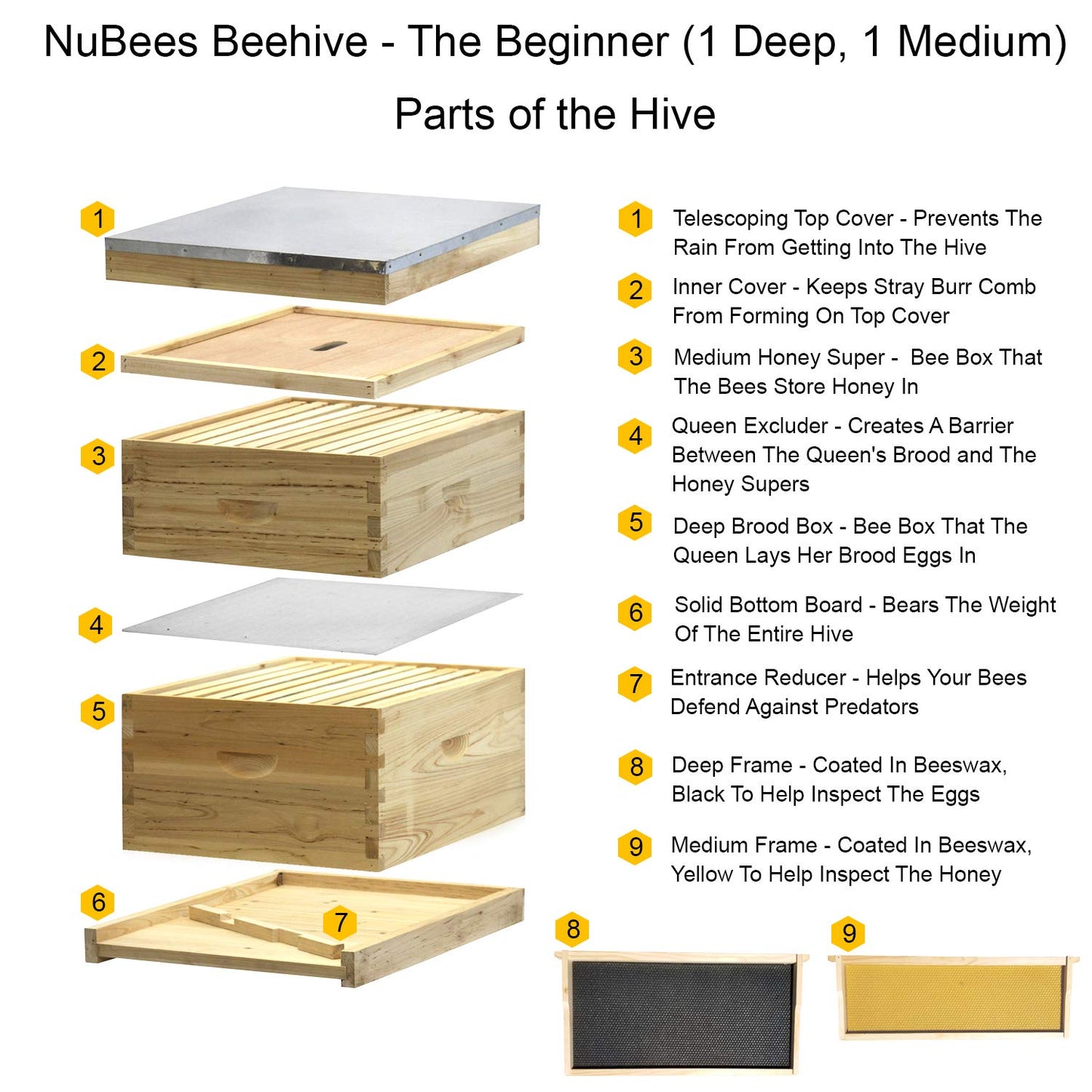 NuBee 10-Frame Complete Beehive Kit – Fully Assembled & Painted (1 Deep + 1 Medium Boxes) with Frames & Wax-Coated Foundations | Beginner Langstroth Hive