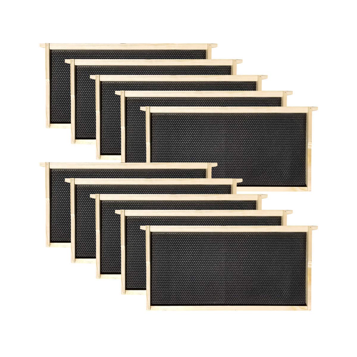 10 Frame Deep Brood Box – Unassembled w/ Frames & Foundations – Made in USA