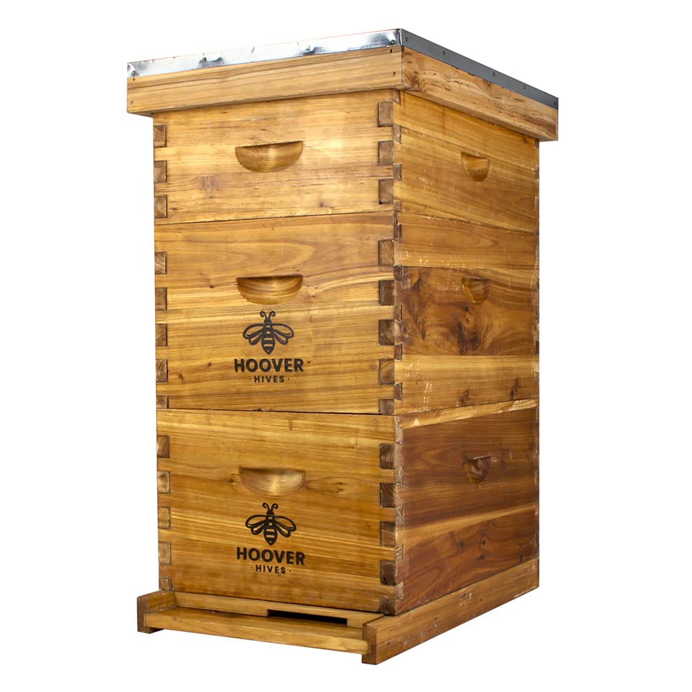 Wax-Coated 8 Frame Beehive - (2)Deeps & (1)Medium (Fully Assembled)