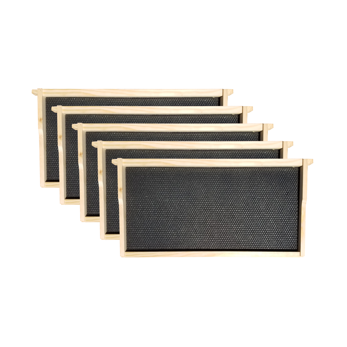 Busy Bees ‘N’ More 10-Frame Beehive Starter Kit – Nuc Ready
