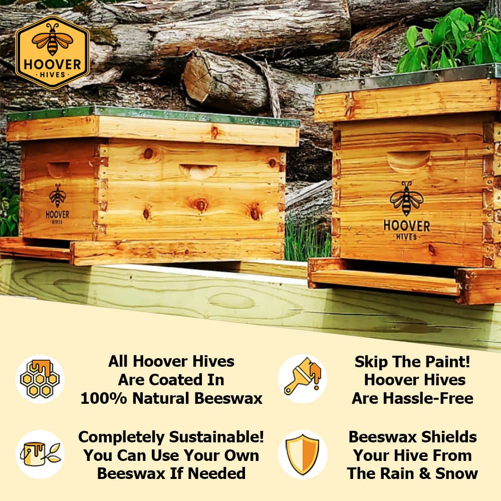 8-Frame Wax-Coated Beehive Kit – (2) Deep & (1) Medium Unassembled | Hoover Hives® Original Beeswax Finish