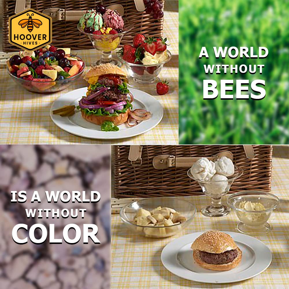 Wax-Coated 8 Frame Beehive - (2)Deeps & (1)Medium (Fully Assembled)