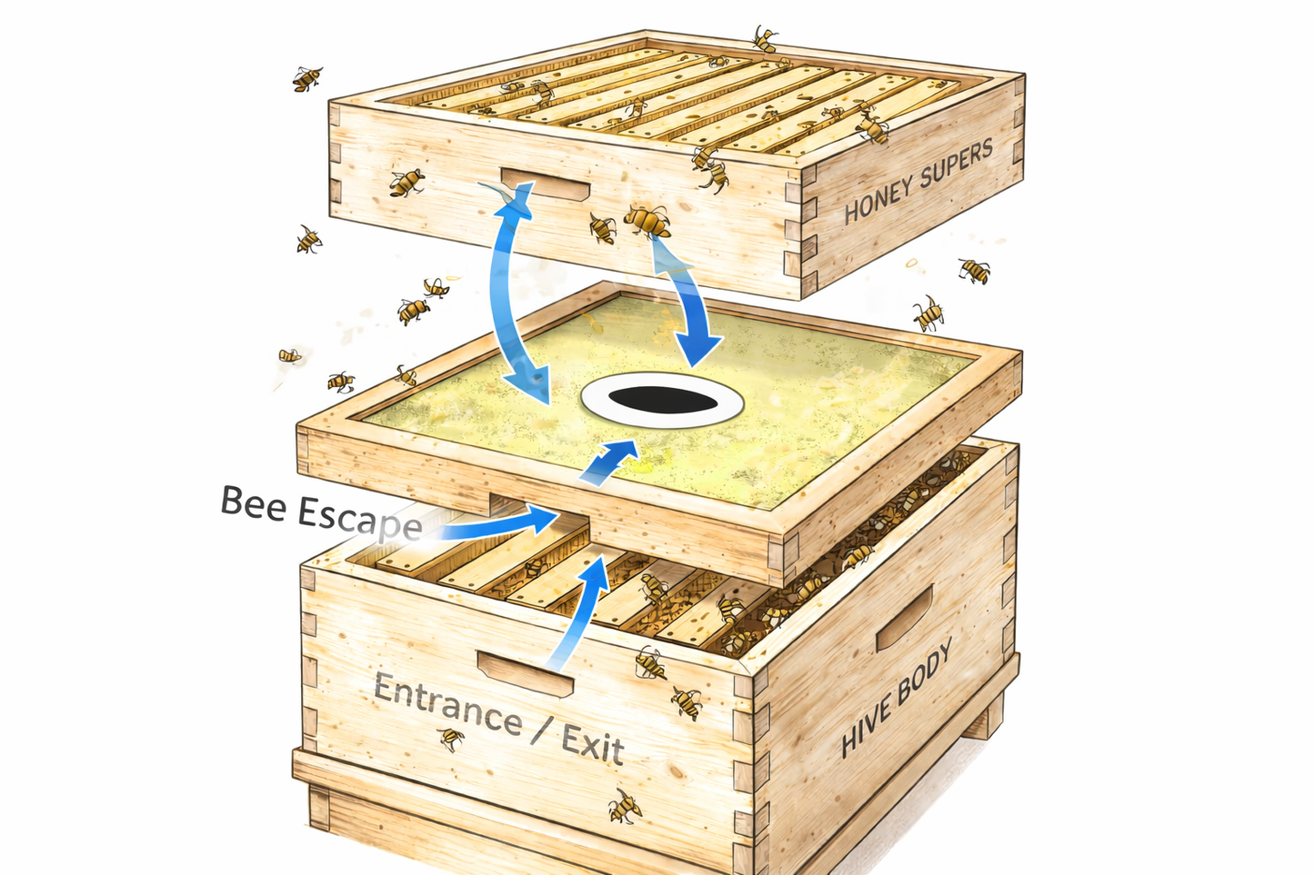 Hoover Hives Wax-Coated 8-Frame Langstroth Inner Cover